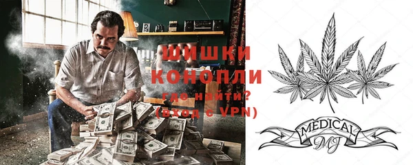 mdpv Белокуриха