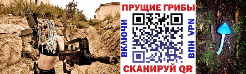 Псилоцибиновые грибы Psilocybine cubensis  Козьмодемьянск 
